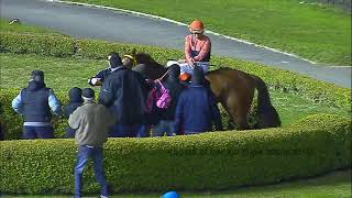 Jockey Club hipódromo en vivo