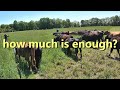 Do We Have Enough Land For Our Cattle?