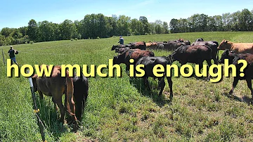 Kolik krav můžete chovat na 15 akrech?