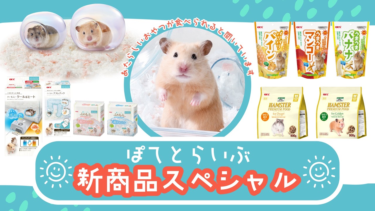 【🐹ぽてとライブ新商品スペシャル！】ハムスター向けの新商品が盛りだくさん！ぽてとくんとご紹介！