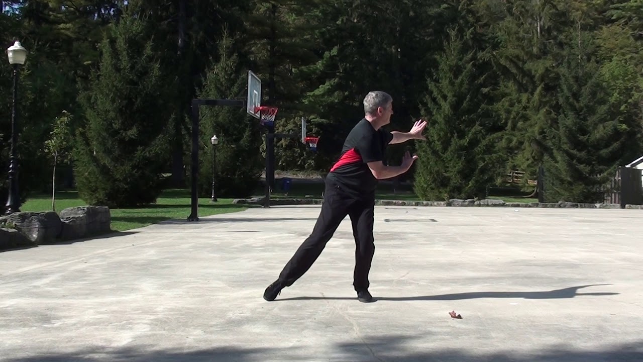 moy lin shin tai chi Swhshish