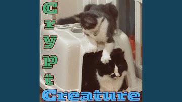 Scenic... Actually Nevermind Just Forget It