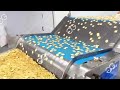 Fully Automatic Biscuit Production System