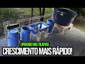 Criação de TILÁPIA em caixa d'água: Melhorias do sistema! - Chácara SV