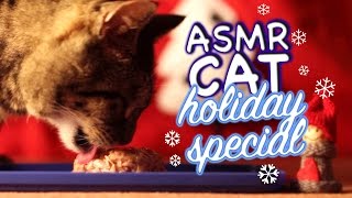 ASMR Cat  Eating #5  Holiday Special