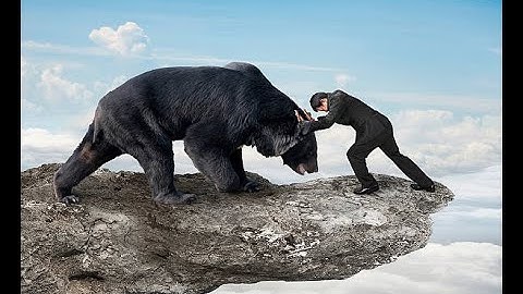 #paxdei Solo A Black Bear (645hp) Level 10 Light Armor