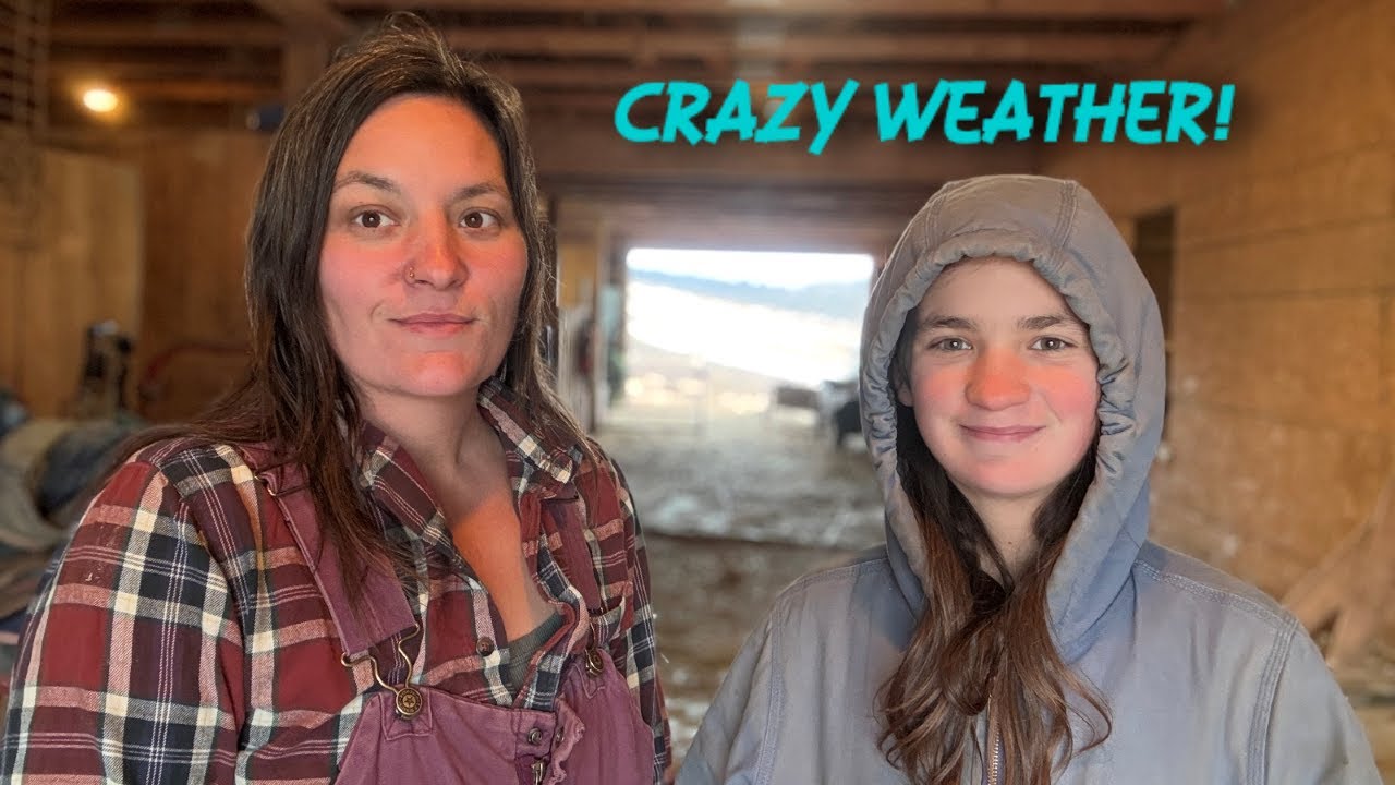 Storm Clean Up and a New Lamb - YouTube