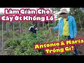 Gia nh chu phi s trng g sau khai hoang2q vlogs cuc sng chu phi