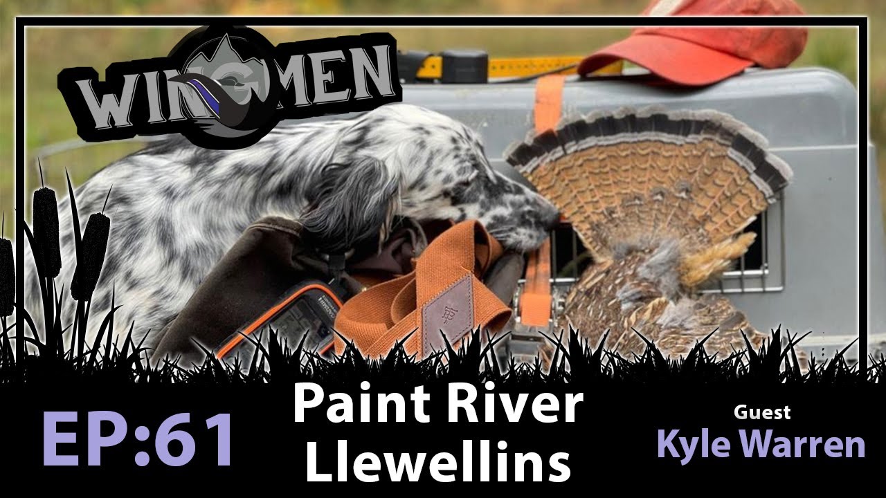 Kyle Warren - Paint River Llewellins | Wingmen Podcast #61