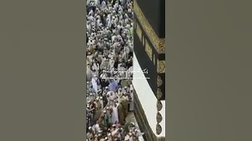 #تلاوه_ هادئه _من _سورة_ الحج_ بصوت #الشيخ _ياسر_ الدوسري #♥️♥️♥️