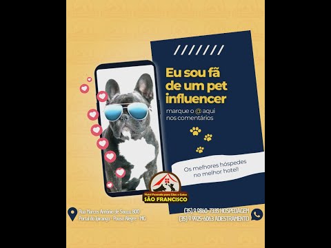 Hotel Fazenda para Cães e Gatos São Francisco | Pouso Alegre - MG