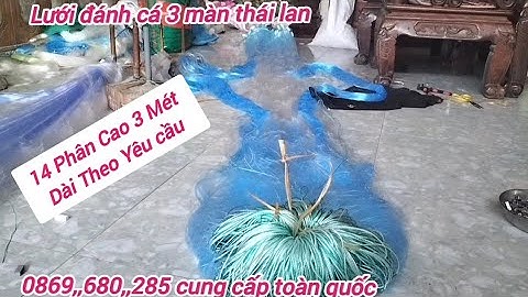 Lưới Đánh Cá 3 Màn 14 Phân Cao 3 Mét Dài 160 Mét Lưới Đánh Cá Lớn Ao Sông Hồ Đầm Thủy Điện Duy chiến