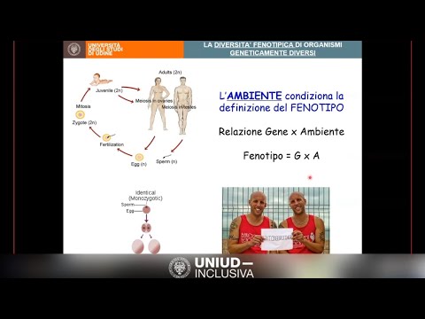 Video: Le Stringhe SMILES Randomizzate Migliorano La Qualità Dei Modelli Generativi Molecolari