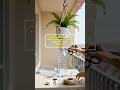 Hanging Planter Ideas 💡 Aesthetic & Simple Planting Inspiration!