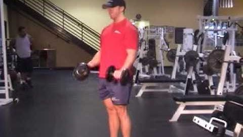 Athletes.com - Forearms - Standing Dumbbell Reverse Curl