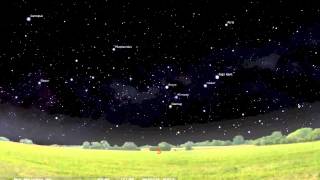 Introductory Astronomy: Star Motions at Different Latitudes