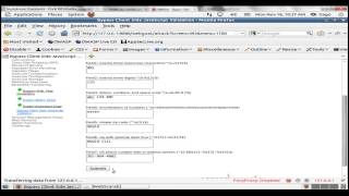 Unisinos, WEBGOAT - Bypass Client Side JavaScript Validation