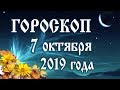 Гороскоп на сегодня 7 октября 2019 года 🌛 Астрологический прогноз каждому знаку зодиака