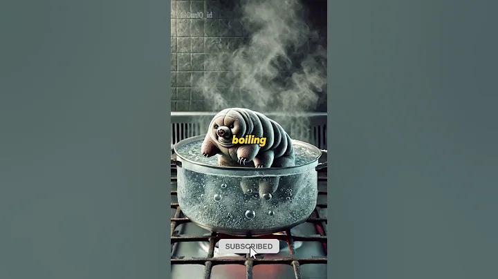 Tardigrades Are the Toughest Animal on Earth