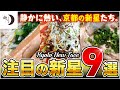 京都ラーメン好き必見!名店を超える新鋭9店が本当に凄かった【2025年最新】
