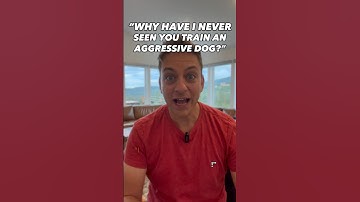 Why You’ve Never Seen Me Train an Aggressive Dog #dogtraining #dogtrainer #puppytraining #dogs