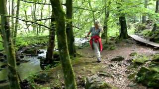 DSCN2851.AVI