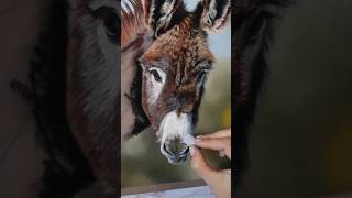 Cute Donkey in Soft Pastel #art #softpastel #pastel #animalart #tutorial
