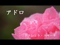 アドロ グラシェラ・スサーナ