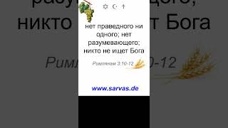 9.10.2025. Библия и Коран  #коран #инджил #тора  #пророк   #солнце    #храм    #ислам #джинны