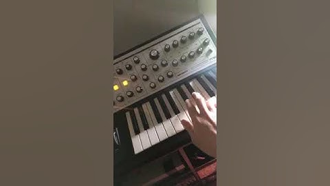 Moog Subphatty. Noise.