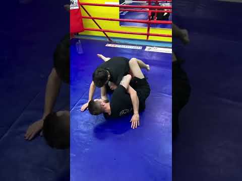 100% Треугольник