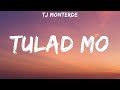 Tj monterde  tulad mo lyrics