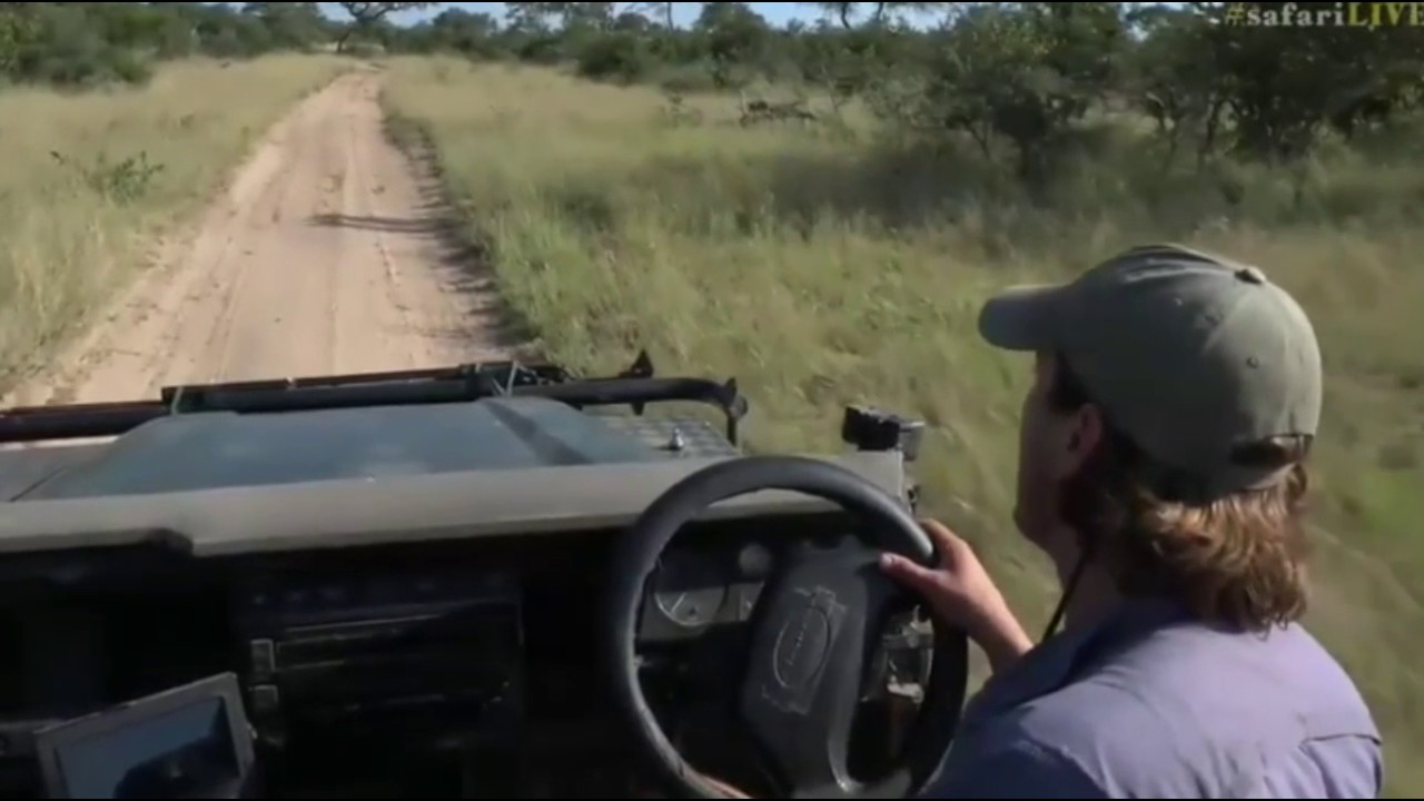 sindile faku April 12, 2017- Sunrise- Brent discusses Karula's absence