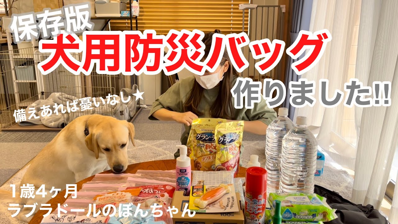 chako様限定（ラブラドール＆黒猫） 【公式通販】