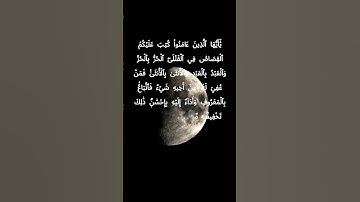 #تلاوة_سورة_البقرة #سورة_البقرة #راحة_نفسية #سورة_البقرة_كاملة #لايك #اكسبلور #قراءه_سورة_البقرة