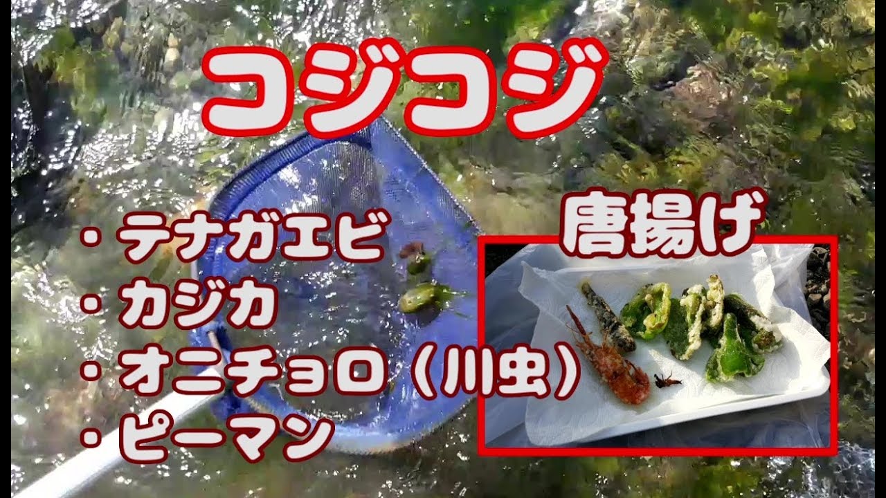 川の上流で釣り餌と食材を採取してみた。