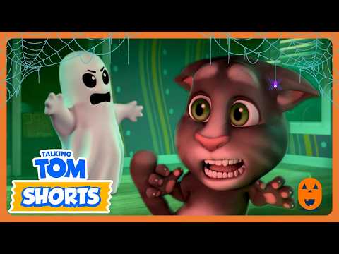 🎃 Spooky & Silly Halloween! 👻 | Funny & Spooky Kids🔴LIVE🔴
