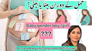 how to predict baby boy/girl during pregnancy 