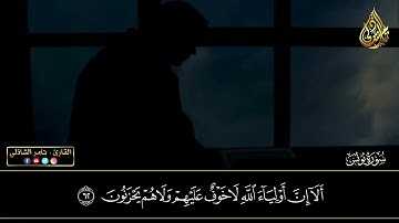 ألا إن أولياء الله لا خوف عليهم ولا هم يحزنون - القارئ تامر الشاذلى