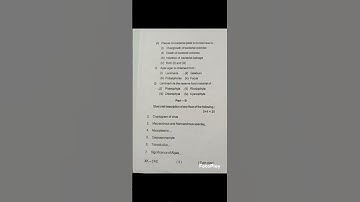 Patna University, bsc - botany(Hons) MJC , sem-1 question paper 2024