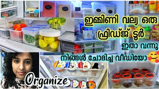 What's inside my Refrigerator 🤩🤩ഫ്രിഡ്ജ് ടൂർ Fridge Organization tips Part 2 | My Fridge Tour Vlog |