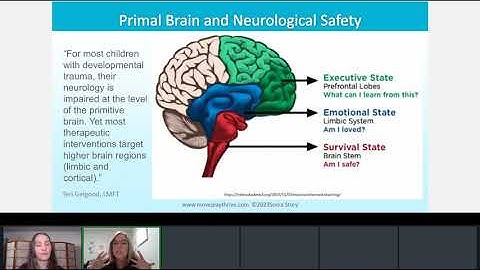 Transforming Anxiety with Sensory Motor Tools: An Eye-Opening Approach, Brain & Sensory Foundations