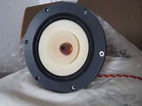 Feastrex Full Range Speakers