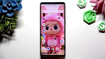 SONY Xperia 1 VII – Wachtwoorden toevoegen aan Google Passwords Autofill