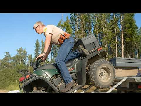 A Grizzly Bear On The Loose Wardens In Action