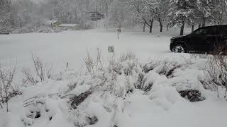 Flushing Valley Golf Course During the Blizzard!