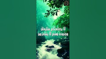 حالات واتس اب قرآن كريم بصوت القارئ إسلام صبحي | أيات تريح النفس | سورة النمل Islam Sobhi Surah Naml