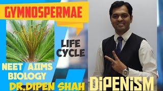 GYMNOSPERMS Class 11 | Life Cycle | Plantae | Part 9 | Diversity NEET Biology AIIMS Dipenism