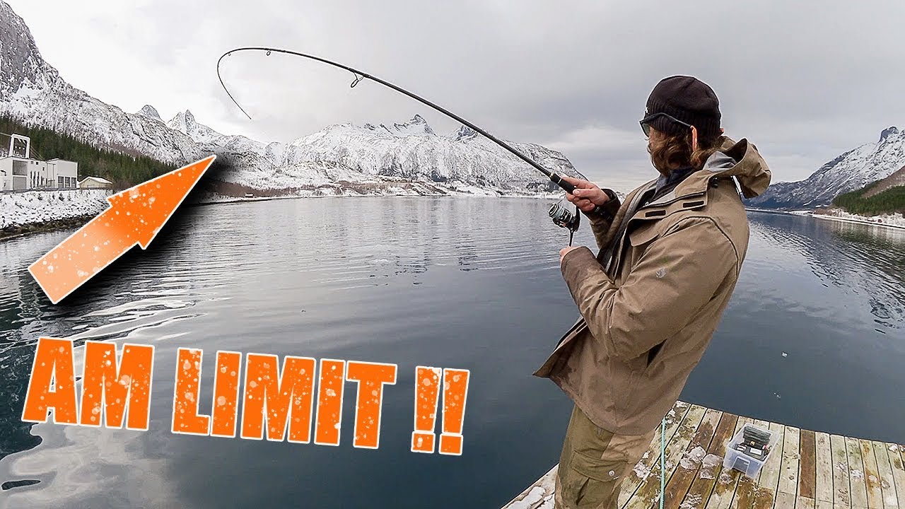 HEFTIG! Mega Drills + FETTE Fische vom Ufer haben wir damit nicht Angeln in Norwegen HEFTIG! Mega Drills + FETTE Fische vom Ufer haben wir damit nicht Angeln in Norwegen