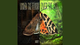 Watch Abney Park Dont Wanna Worry video